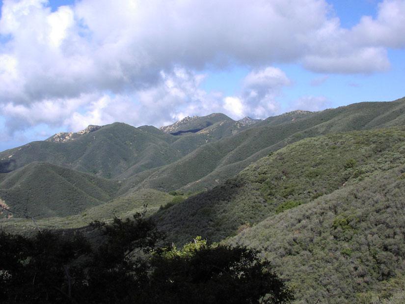 Biomas terrestres: El Chaparral | LaReserva.com
